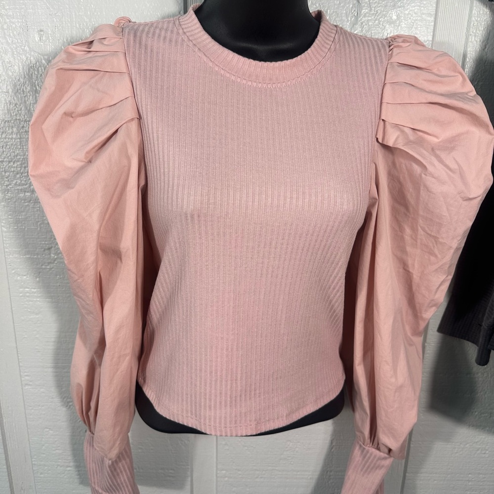TCEC Solid Fitted Crew Neckline and Long Puff Sleeves Size Medium EUC - Picture 4 of 9